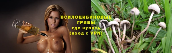 крисы Семикаракорск