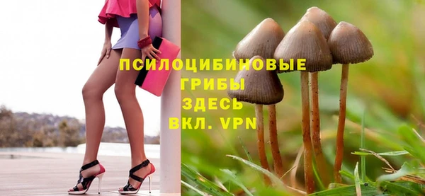 2c-b Богородицк