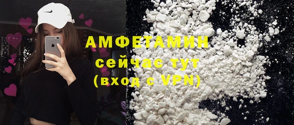 шишки Белокуриха
